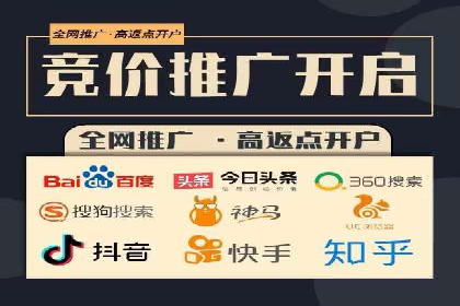百度竞价排名实战：某电商平台的成功之路